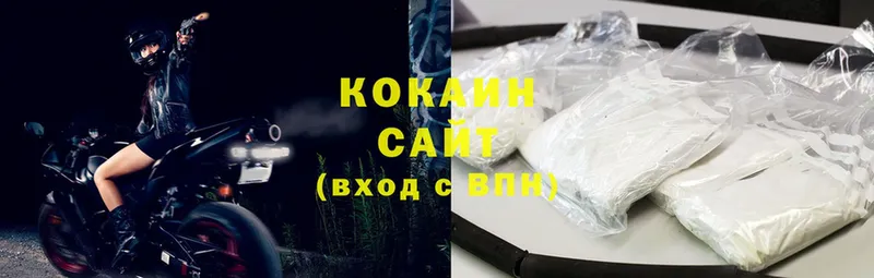 Cocaine Fish Scale  блэк спрут как войти  Гдов  закладки 